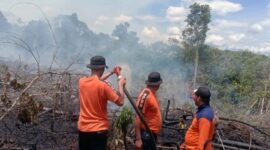 Tim TRC BNPB Regu B Kabupaten Muaro Jambi Saat Bercibaku Memadamkan Api di Lahan perkebunan kelapa sawit masyarakat di Ds. Bukit Baling RT. 03 KM. 31 Kecamatan Sekerna, Minggu (11/9/22). FOTO : BPBD
