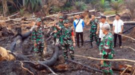 Dandim 0419/Tanjab Letkol Arm Dwi Sutaryo didampingi Danramil 419-03/Tungkal Ilir, Kapten Inf Safri Napitupulu beserta Babinsa dan bhabinkamtibmas Saat Cek Lokasi Karhutla di desa Sungai Dungun, Kecamatan Kuala Betara, Rabu (31/7/24). FOTO : PENDIM