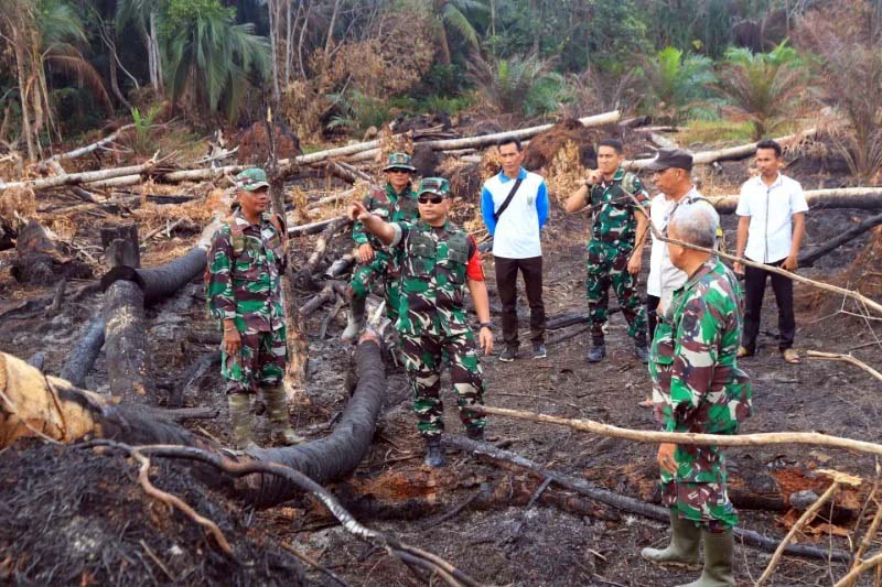 Dandim 0419/Tanjab Letkol Arm Dwi Sutaryo didampingi Danramil 419-03/Tungkal Ilir, Kapten Inf Safri Napitupulu beserta Babinsa dan bhabinkamtibmas Saat Cek Lokasi Karhutla di desa Sungai Dungun, Kecamatan Kuala Betara, Rabu (31/7/24). FOTO : PENDIM