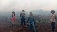 Kebakaran Lahan Terjadi di Lahan Perkebunan di RT. 04 Dusun Nibung  Jaya, Desa Mekar Jati, Kecamatan Pengabuan. FOTO : Ist