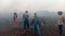 Kebakaran Lahan Terjadi di Lahan Perkebunan di RT. 04 Dusun Nibung  Jaya, Desa Mekar Jati, Kecamatan Pengabuan. FOTO : Ist