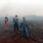 Kebakaran Lahan Terjadi di Lahan Perkebunan di RT. 04 Dusun Nibung  Jaya, Desa Mekar Jati, Kecamatan Pengabuan. FOTO : Ist