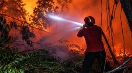 Petugas gabungan berjibaku menembus kepekatan asap dan vegetasi yang terbakar dalam operasi pemadaman karhutla HLG Londerang, Jambi. (FOTO : Dok. Istimewa/Dhea/LT)