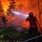 Petugas gabungan berjibaku menembus kepekatan asap dan vegetasi yang terbakar dalam operasi pemadaman karhutla HLG Londerang, Jambi. (FOTO : Dok. Istimewa/Dhea/LT)