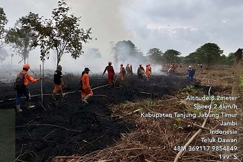 Tim PetroChina Bantu Padamkan Lahan Kelompok Tani di Kabupaten Tanjung Jabung Timur Dilahap Api. FOTO : Tim Media