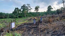 Petugas kepolisian menyegel lokasi karhutla di Desa Batu Ampar, Kecamatan Kemuning, Kabupaten Inhil, Riau, Sabtu (20/5/23). (FOTO : Dok. Polres Inhil/Kompas.com)