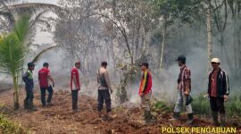Personel Polsek Pengabuan bersama Team Terpadu Penanggulangan Karhutla Berada di Lokasi Kebakaran Lahan di RT. 04 Dusun Nibung  Jaya, Desa Mekar Jati, Kecamatan Pengabuan. FOTO : HUMAS 