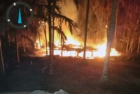 Api Saat Memakan Badan rumah milik Pak Roni di RT 14 Kelurahan Senyerang. FOTO : Istimewa