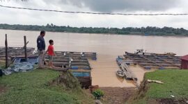 Peternak Ikan Desa Pematang Jering Dambakan Adanya Dermaga dan Pelabuhan. [FOTO : Ary/Lintastungkal]