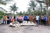 Wakil Bupati Tanjung Jabung Barat, Dr. H. Katamso Bersama Sejumlah Pejabat dan Tokoh Masyarakat Saat  Meninjau Lokasi Penemuan Kerangka Paus di Kecamatan Seko pada Selasa 11 November 2025. FOTO : DOKPIM