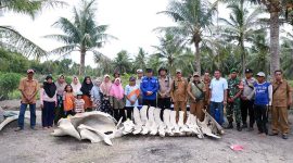 Wakil Bupati Tanjung Jabung Barat, Dr. H. Katamso Bersama Sejumlah Pejabat dan Tokoh Masyarakat Saat  Meninjau Lokasi Penemuan Kerangka Paus di Kecamatan Seko pada Selasa 11 November 2025. FOTO : DOKPIM