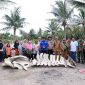 Wakil Bupati Tanjung Jabung Barat, Dr. H. Katamso Bersama Sejumlah Pejabat dan Tokoh Masyarakat Saat  Meninjau Lokasi Penemuan Kerangka Paus di Kecamatan Seko pada Selasa 11 November 2025. FOTO : DOKPIM