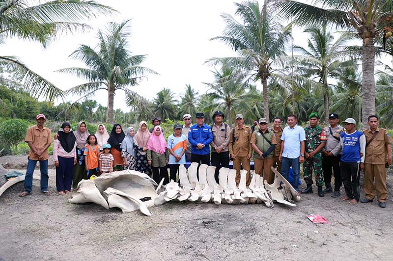 Wakil Bupati Tanjung Jabung Barat, Dr. H. Katamso Bersama Sejumlah Pejabat dan Tokoh Masyarakat Saat  Meninjau Lokasi Penemuan Kerangka Paus di Kecamatan Seko pada Selasa 11 November 2025. FOTO : DOKPIM
