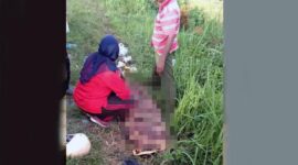 Melani Dwi Risana (30) Warga RT.03 Kelurahan Jembatan Mas, Kecamatan Pemayung Menjadi Korban Tabrak Lari. FOTO : Jambiprima.
