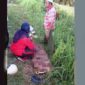Melani Dwi Risana (30) Warga RT.03 Kelurahan Jembatan Mas, Kecamatan Pemayung Menjadi Korban Tabrak Lari. FOTO : Jambiprima.