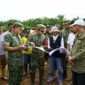 Danrem 042/Garuda Putih Brigjen TNI Nyamin (tengah) bersama Dandim 0416/Bute Letkol Inf Inf Yudi S.Y. (kiri, memegang dokumen) meninjau langsung progres program Cetak Sawah Rakyat (CSR) di Desa Sungai Rambai, Kecamatan Tebo Ulu, Kabupaten Tebo, Jumat (24/7/2026). Kunjungan ini dilakukan untuk memastikan percepatan perluasan lahan pertanian baru seluas 27,10 hektare di wilayah tersebut berjalan optimal demi memperkuat ketahanan pangan nasional. (FOTO: Penrem 042/Gapu)