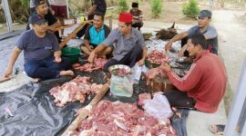 ASN BKPSDM Tanjab Barat Saat Memnmbang Daging Kurban. FOTO : LT
