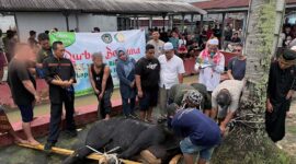 Pelaksanaan Penyembelihan Hewan Kurban 9 Sapi dan 3 Kambing di Lapas Kelas IIA Jambi Daging Dibagikan kepada Masyarakat dan Pihak Terkait. FOTO : HMS