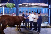 Menteri Ketenagakerjaan Yassierli bersama Wakil Menteri Ketenagakerjaan Afriansyah Noor, Sekretaris Jenderal Kemnaker Cris Kuntadi, dan jajaran pejabat kementerian meninjau langsung salah satu hewan kurban di Kantor Pusat Kemnaker, Jakarta, Kamis (28/5/2026). (FOTO : Dok. Biro Humas Kemnaker)