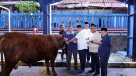 Menteri Ketenagakerjaan Yassierli bersama Wakil Menteri Ketenagakerjaan Afriansyah Noor, Sekretaris Jenderal Kemnaker Cris Kuntadi, dan jajaran pejabat kementerian meninjau langsung salah satu hewan kurban di Kantor Pusat Kemnaker, Jakarta, Kamis (28/5/2026). (FOTO : Dok. Biro Humas Kemnaker)