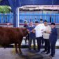 Menteri Ketenagakerjaan Yassierli bersama Wakil Menteri Ketenagakerjaan Afriansyah Noor, Sekretaris Jenderal Kemnaker Cris Kuntadi, dan jajaran pejabat kementerian meninjau langsung salah satu hewan kurban di Kantor Pusat Kemnaker, Jakarta, Kamis (28/5/2026). (FOTO : Dok. Biro Humas Kemnaker)