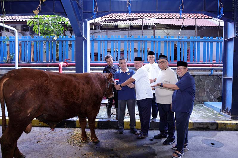 Menteri Ketenagakerjaan Yassierli bersama Wakil Menteri Ketenagakerjaan Afriansyah Noor, Sekretaris Jenderal Kemnaker Cris Kuntadi, dan jajaran pejabat kementerian meninjau langsung salah satu hewan kurban di Kantor Pusat Kemnaker, Jakarta, Kamis (28/5/2026). (FOTO : Dok. Biro Humas Kemnaker)