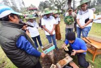 Kolaborasi Bersama Masyarakat, Pertamina Patra Niaga Kelola Desa Energi Berdikari. FOTO : WKI