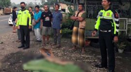 Pengendara Supra Fit Meninggal Setelah Tabrakan dengan Truk Batu Bara di Kampung Tengah, Desa Sungai Buluh, Kecamatan Muara Bulian, Kabupaten Batanghari, Jambi, Minggu (23/01/22). FOTO : Ist