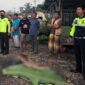 Pengendara Supra Fit Meninggal Setelah Tabrakan dengan Truk Batu Bara di Kampung Tengah, Desa Sungai Buluh, Kecamatan Muara Bulian, Kabupaten Batanghari, Jambi, Minggu (23/01/22). FOTO : Ist