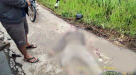 Tuck Hino VS Honda Beat, Pengendara Motor Asal Jateng Meninggal Dunia. FOTO : Humas Res TJB