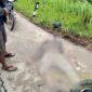 Tuck Hino VS Honda Beat, Pengendara Motor Asal Jateng Meninggal Dunia. FOTO : Humas Res TJB