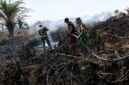 Luasan kebakaran hutan dan lahan di wilayah Kabupaten Muaro Jambi  dilaporkan telah mencapai 264,78 hektare, menjadikannya area terdampak paling parah di tingkat provinsi akibat kendala minimnya sumber air dan kondisi lahan gambut yang kering selama puncak musim kemarau. (Foto: Dok. Satgas Karhutla)