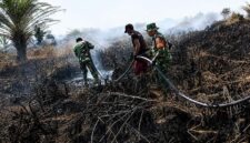 Luasan kebakaran hutan dan lahan di wilayah Kabupaten Muaro Jambi  dilaporkan telah mencapai 264,78 hektare, menjadikannya area terdampak paling parah di tingkat provinsi akibat kendala minimnya sumber air dan kondisi lahan gambut yang kering selama puncak musim kemarau. (Foto: Dok. Satgas Karhutla)