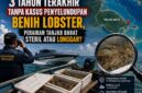 3 Tahun Terakhir Tanpa Kasus Penyelundupan Benih Lobster, Perairan Tanjab Barat Sudah Steril atau Kosentrasi Petugas yang Beralih? (VISUAL : Dok. Istimewa)