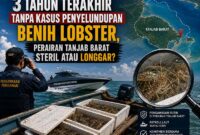 3 Tahun Terakhir Tanpa Kasus Penyelundupan Benih Lobster, Perairan Tanjab Barat Sudah Steril atau Kosentrasi Petugas yang Beralih? (VISUAL : Dok. Istimewa)