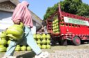 Menyambut libur panjang Hari Raya Iduladha 1447 H, PT Pertamina Patra Niaga berkomitmen mencegah kelangkaan dengan menambah pasokan sebanyak 9 juta tabung secara nasional dan mengimbau masyarakat untuk tidak melakukan aksi borong (panic buying). (FOTO :Dok. Pertamina)