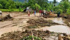 Kondisi wilayah terdampak banjir dan tanah longsor di Kabupaten Gayo Lues, Provinsi Aceh. Hujan berintensitas tinggi memicu luapan lumpur dan tumpukan material kayu yang merusak permukiman warga serta memutus sejumlah akses transportasi utama. (Foto: Sumber BPBD Kabupaten Gayo Lues)