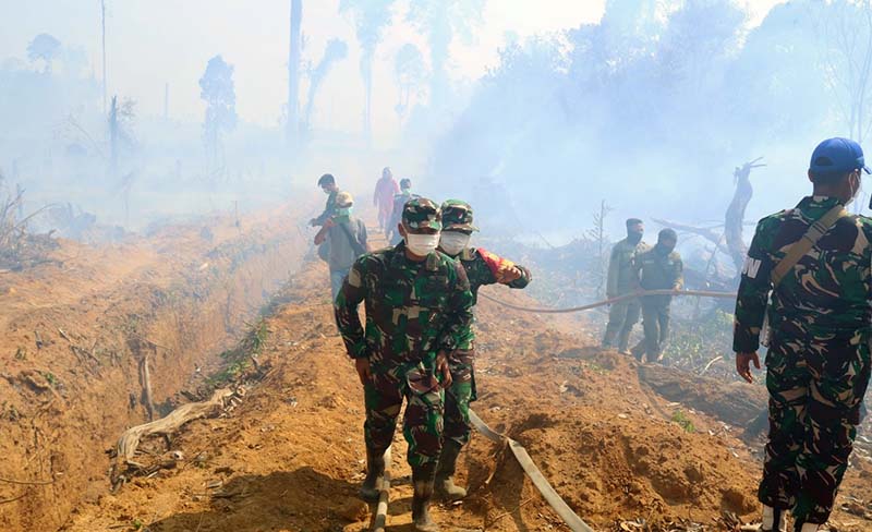 Dandim 0416/Bute Letkol Inf Arief Widyanto, SE, M.Han Tinjau Langsung Lokasi Karhutla Sekaligus Posko Terpadu Karhutla di Desa Pemayungan, FOTO : PENIDM