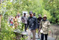 TINJAU POTENSI PESISIR: Wakil Bupati Tanjung Jabung Barat, Dr. H. Katamso SA, S.E., M.E., bersama akademisi Universitas Jambi, Prof. Dr. Ir. Rosyani, M.S., menyusuri jalur pejalan kaki saat mendampingi Tim Verifikasi Kementerian Kehutanan RI di Kawasan Wisata Mangrove Pangkal Babu, Desa Tungkal I, Selasa (5/5). (FOTO : Dok. Prokopim JTB)
