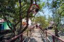 Wisata Mangrove Pangkal Babu, sebuah destinasi ekowisata yang terletak di Desa Tungkal I, Kecamatan Tungkal Ilir, Kabupaten Tanjung Jabung Barat, Jambi. (FOTO : Dok. Istimewa/LT)