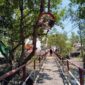 Wisata Mangrove Pangkal Babu, sebuah destinasi ekowisata yang terletak di Desa Tungkal I, Kecamatan Tungkal Ilir, Kabupaten Tanjung Jabung Barat, Jambi. (FOTO : Dok. Istimewa/LT)