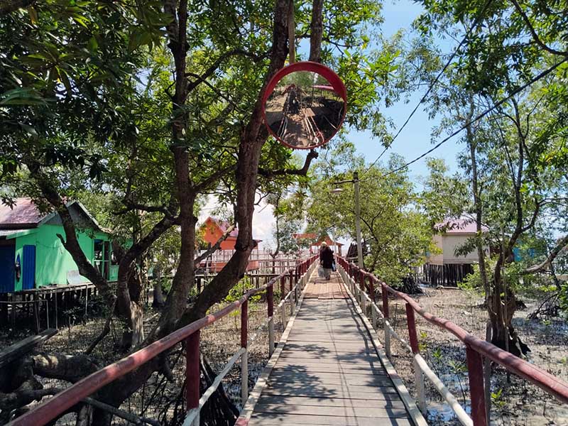 Wisata Mangrove Pangkal Babu, sebuah destinasi ekowisata yang terletak di Desa Tungkal I, Kecamatan Tungkal Ilir, Kabupaten Tanjung Jabung Barat, Jambi. (FOTO : Dok. Istimewa/LT)