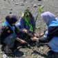 Sebuah Komitmen Dinyata untuk Bumi Oleh MAPALA Pawana FMIPA Untad Tanam 250 dentan Menanam Mangrove di Mamboro Barat. FOTO : HMS