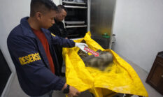 Identitas Masih Gelap, Polisi Otopsi Temuan Tengkorak di Desa Sungai Sayang ke RS Bhayangkara