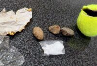 Sabu dalam bola tenis yang ditemukan petugas Lapas Sijunjung. ©ANTARA/HO-Kemenkumham Sumbar