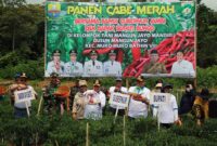 Dandim 0416/Bute Letkol Inf Arief Widyanto Saat Mendampingi Gubernur Jambi Al Haris Panen Cabe Merah di Kelompok Tani Mangun Jayo Mandiri, Desa Mangun Jayo, Kecamatan Muko Muko Bathin VII, Kabupaten Bungo, Kamis (30/05/2024). [FOTO : PENDIM 0416]