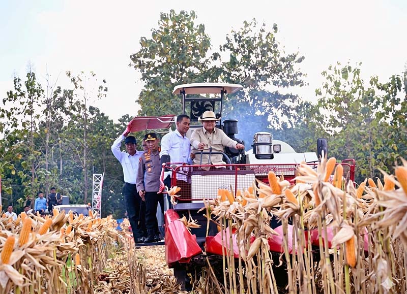 Presiden RI Prabowo Subianto (tengah, topi krem) mengoperasikan mesin pemanen (combine harvester) saat menghadiri Panen Raya Jagung Serentak Kuartal II di Kabupaten Tuban, Jawa Timur, Sabtu (16/5/2026). (FOTO : Dok. TEMPO/X)