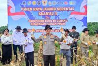 PANEN RAYA JAGUNG: Wakapolda Jambi Brigjen Pol. B. Ali (tengah) menunjukkan hasil panen jagung saat menghadiri Panen Raya Jagung Serentak Kuartal II Tahun 2026 di lahan PT Brahma Bina Bakti, Desa Suko Awin Jaya, Muaro Jambi, Sabtu (16/5/2026). (FOTO : Humas Polda Jambi)