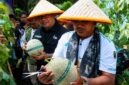 MENUJU SENTRA HORTIKULTURA: Sinergi hulu ke hilir! Bupati H. Anwar Sadat, M.Ag. dan Wakil Bupati H. Katamso menggunting tangkai melon berkualitas tinggi hasil budidaya Kelompok Tani Desa Kuala Dasal, Jumat (17/07). Dengan produktivitas mencapai 16 ton, komoditas lokal ini kini sukses merambah pasar Jambi, Batam, hingga Jakarta. (Foto: Dok. Prokopim Tanjab Barat)