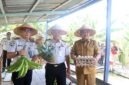 Bupati H. Anwar Sadat(kanan), bersama jajaran Lapas Kelas IIB Kuala Tungkal menunjukkan hasil komoditas peternakan dan perkebunan saat menghadiri kegiatan Panen Raya di RT 08, Desa Bram Itam Raya, Kecamatan Bram Itam.Aktivitas produktif berupa budidaya pisang, nanas, hingga telur ayam tersebut dikelola secara kolaboratif oleh masyarakat setempat bersama para warga binaan Lapas Kelas IIB Kuala Tungkal sebagai pembekalan kemandirian ekonomi. (FOTO : Prokopim)